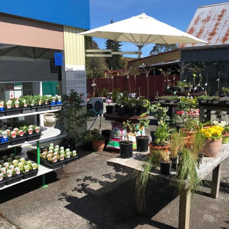 IMG 4218 e1539034231109 810x810 1 768x768