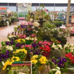 116796367 1019239498491192 1748633297078877115 n 150x150