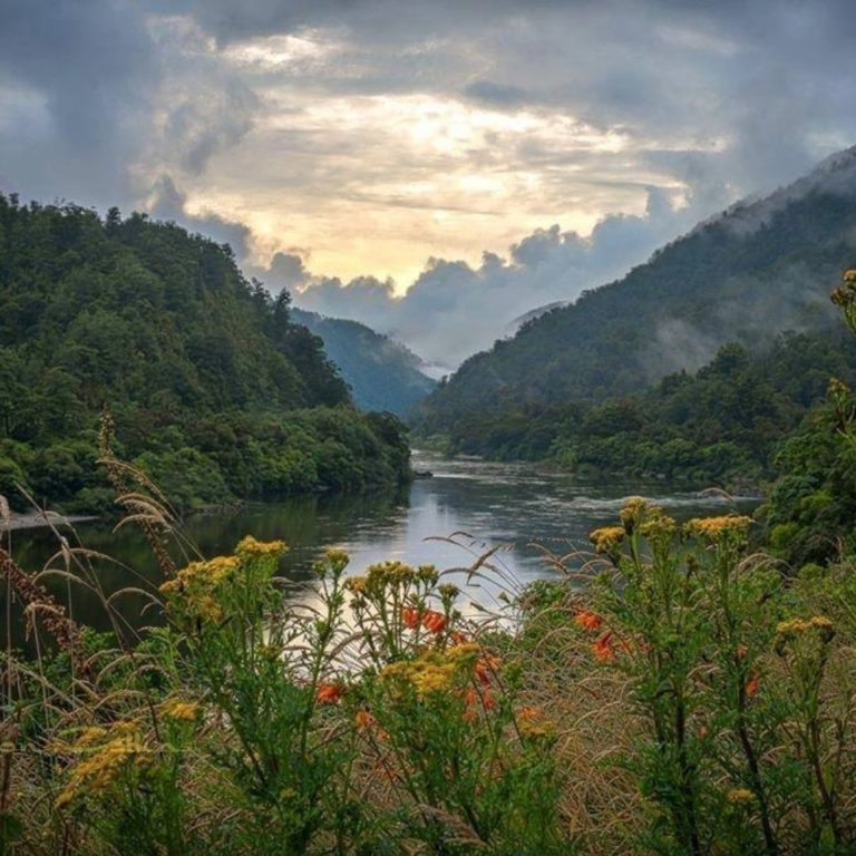 Bella Vista 7 768x768