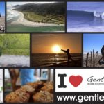 Final Collage 150x150